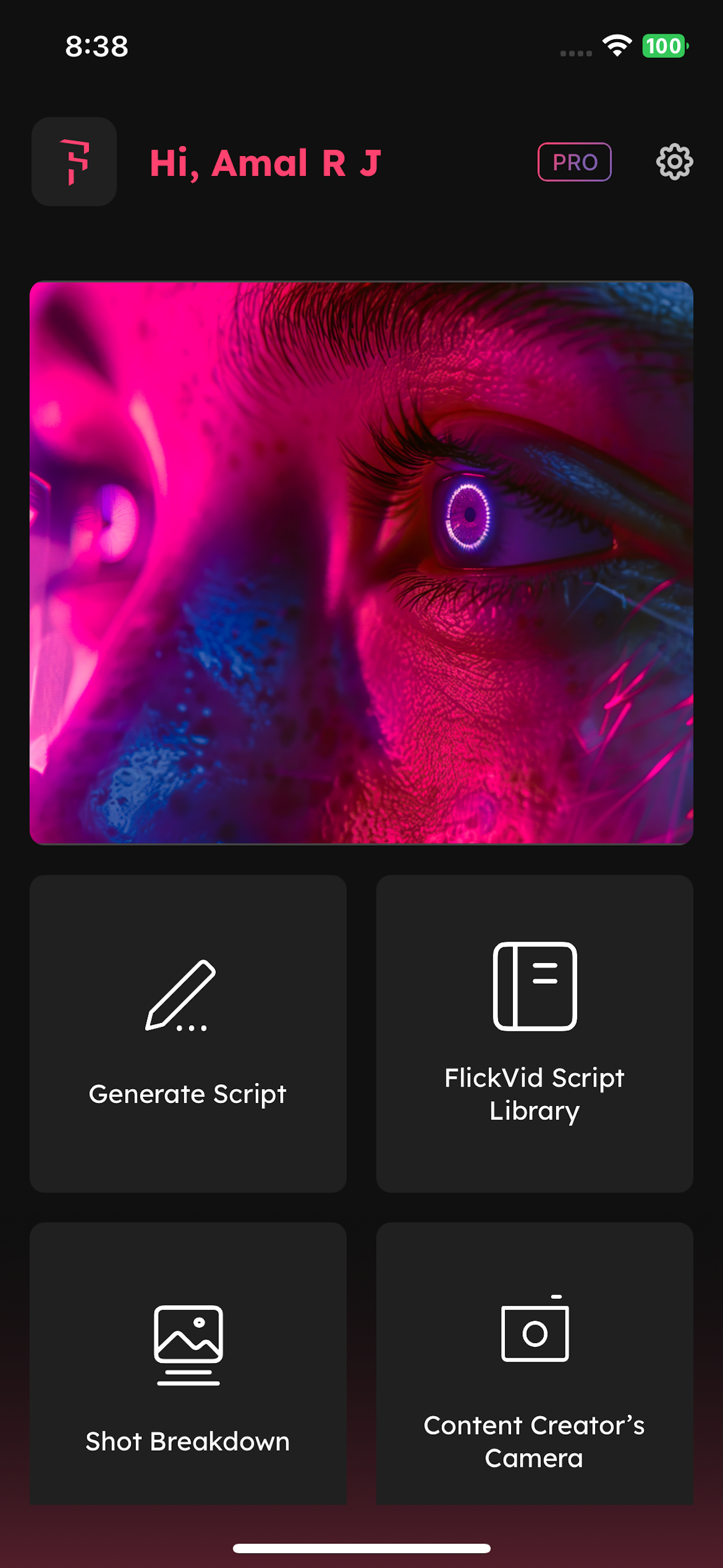 FlickVid screenshot 5