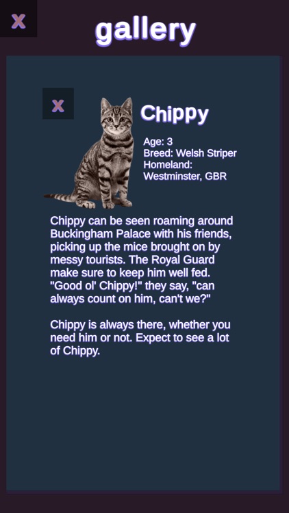 catball screenshot-7