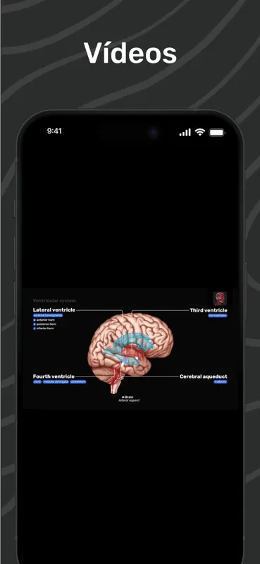 Easy Anatomy 3D con Voice AI screenshot 5 of 9