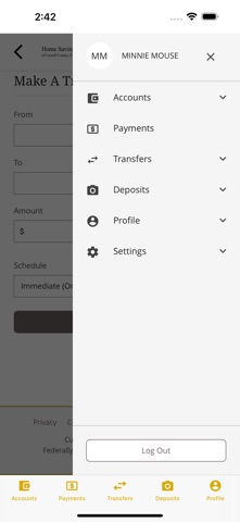 App screenshot