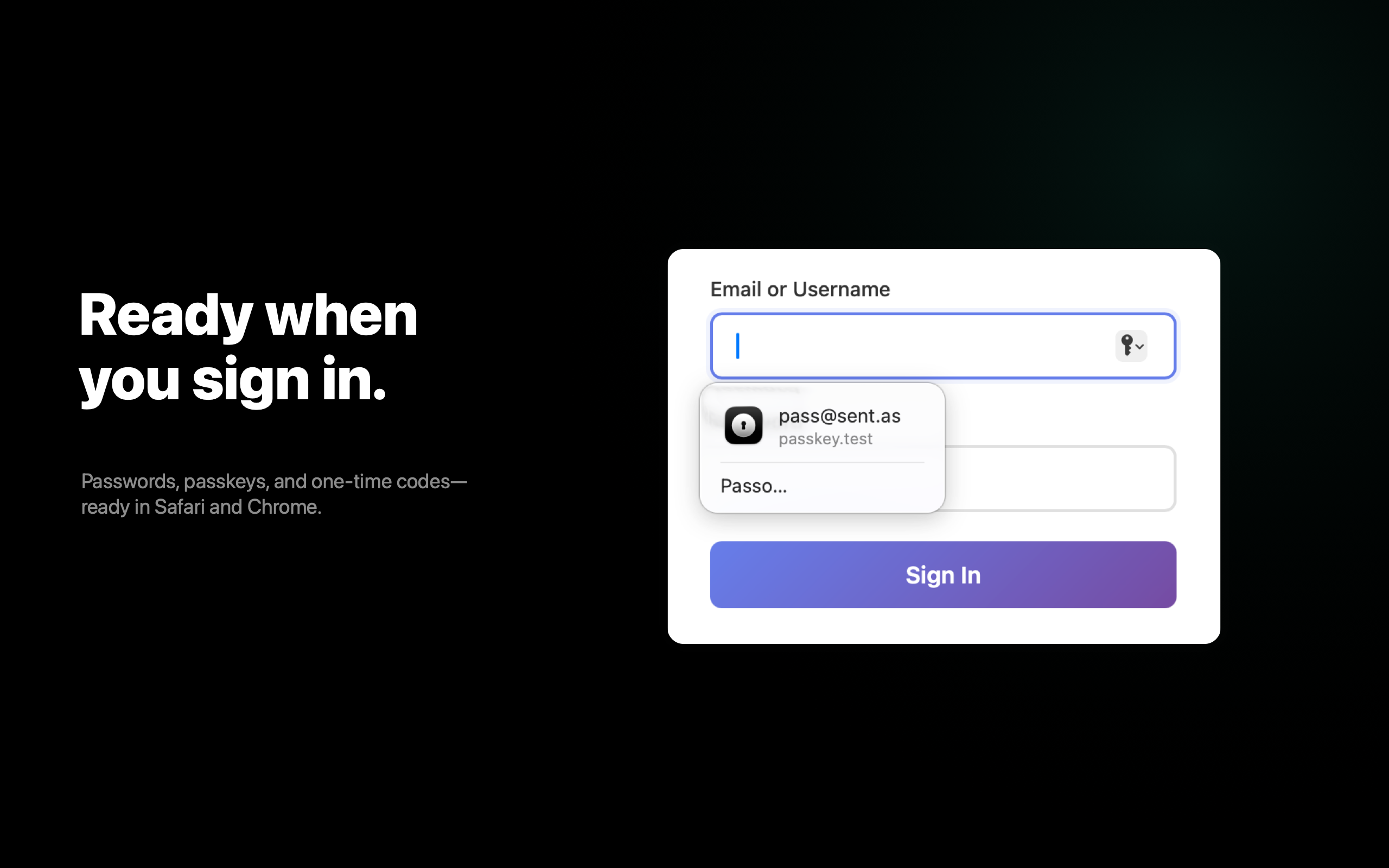 Passo Password Manager screenshot 8