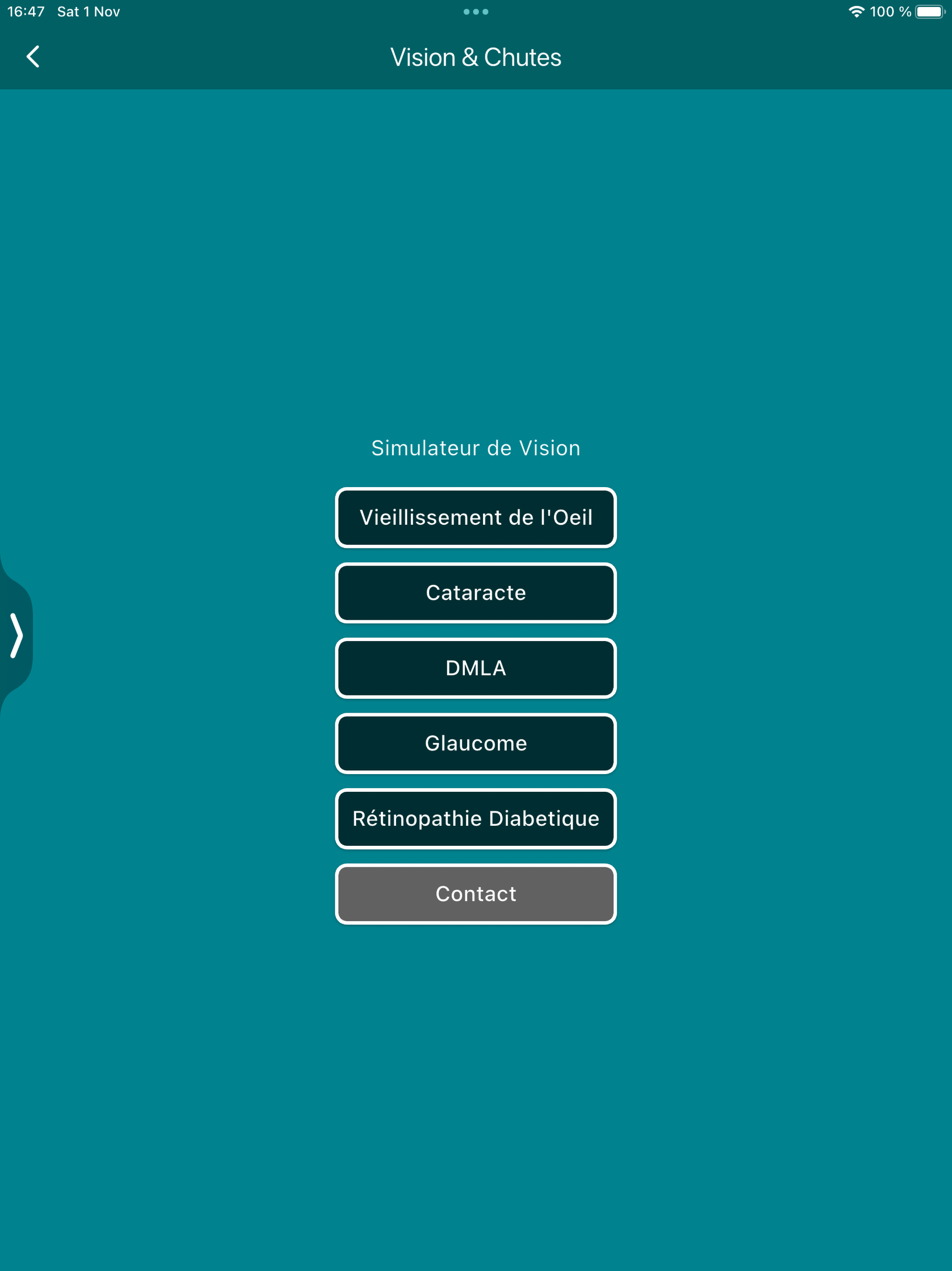 Vision Et Chutes screenshot 5