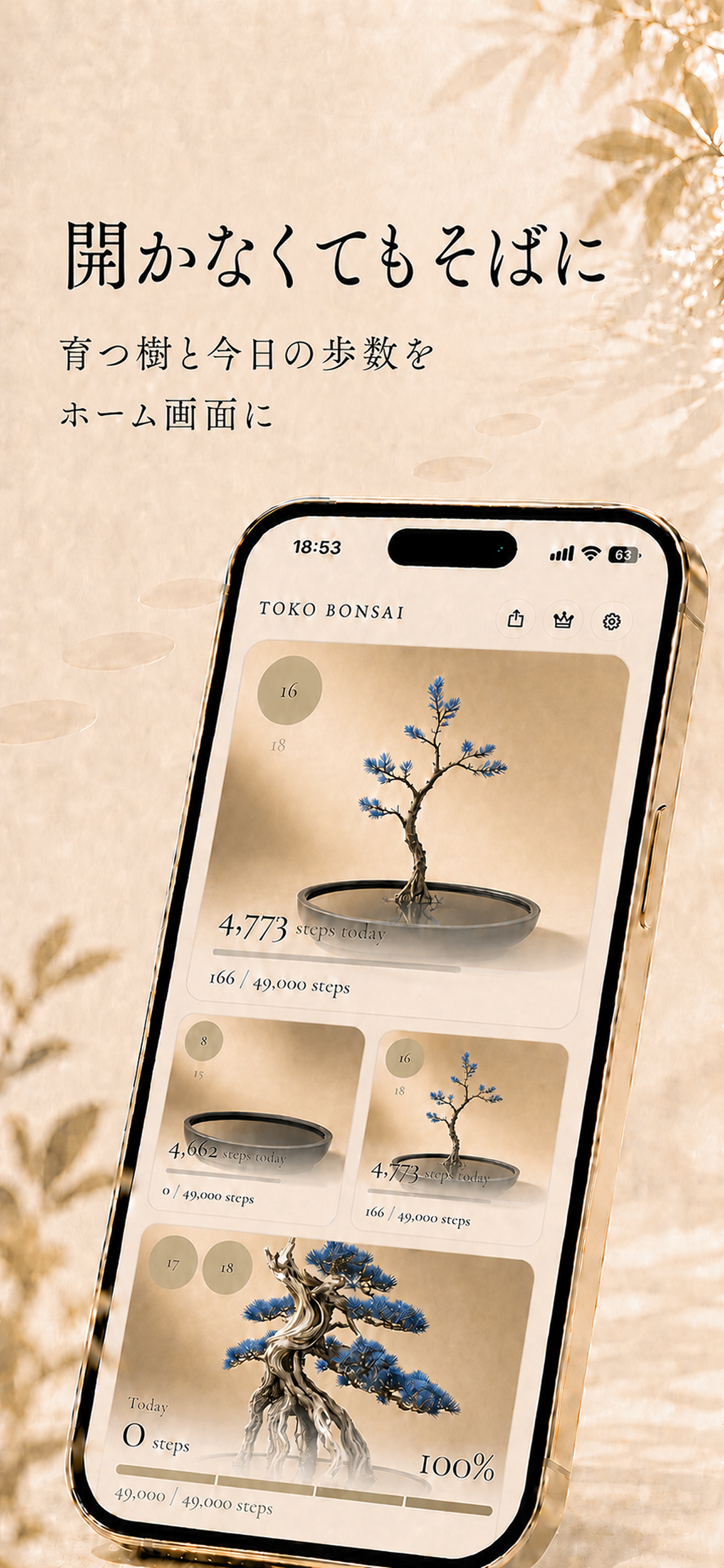 Toko Bonsai - Bonsai You Walk