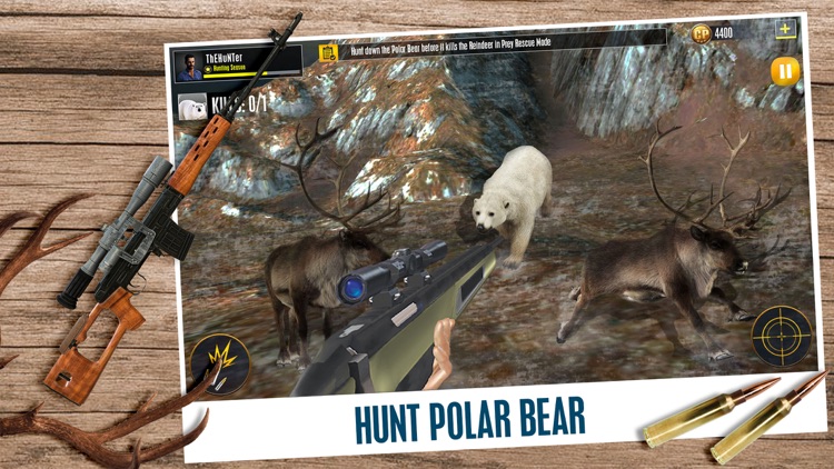 Animal Hunting Games Gun Games screenshot-5