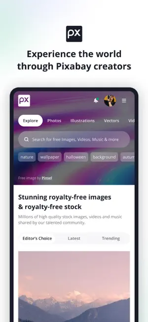 Pixabay screenshot 4