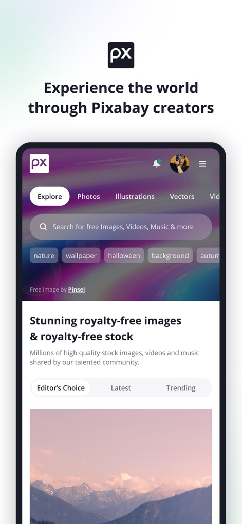 Pixabay - Examine the robust search functionality with category tabs and trending tag suggestions, streamlining the discovery of royalty-free assets.