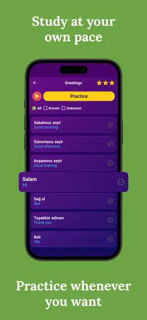 Learn Azerbaijani (Beginners) screenshot 3