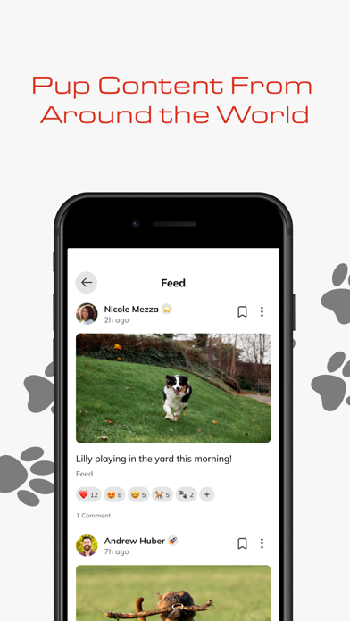 Dogspotting App iPhone screenshot 1 - Social Networking app