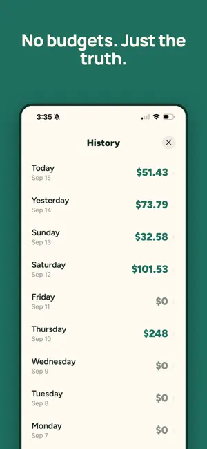 Daily Spend Widget screenshot 3