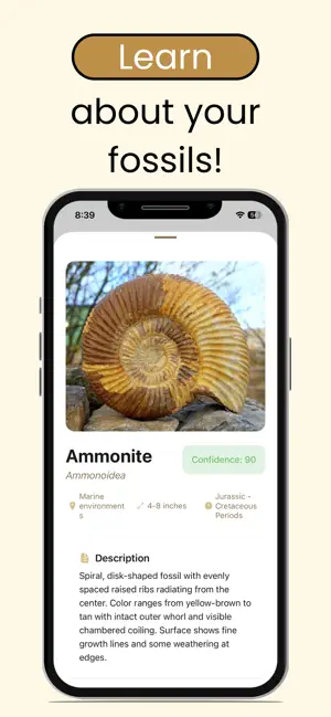 Fossil Identifier: AI Picture screenshot 3