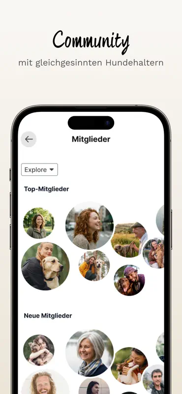 hundetraining.de screenshot 3 of 4