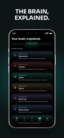 Noronin: Brain Chemistry Screenshot 4 of 5