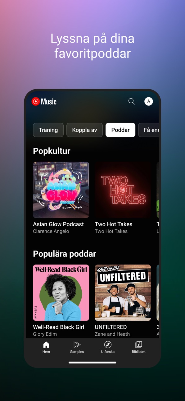 YouTube Music Ultimate screenshot 4 - iOS app interface