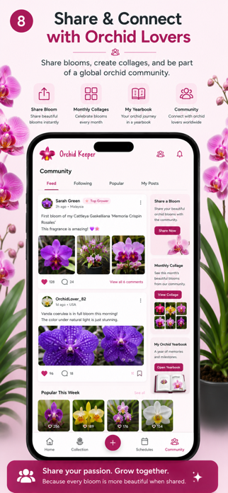 Orchid Keeper Screenshot 8 of 10