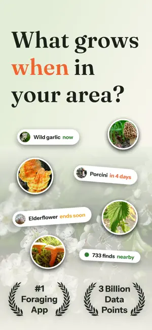 Forage: Wild Food Finder screenshot 1