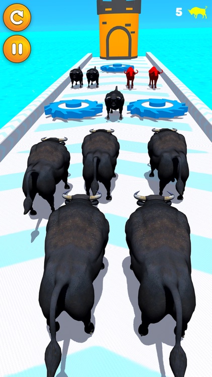 Color Bull:Crowd Merge