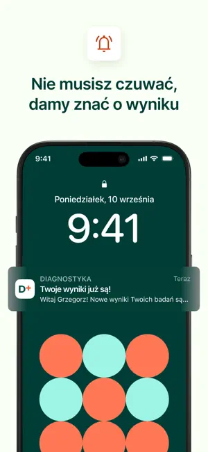 Diagnostyka iPhone screenshot 5