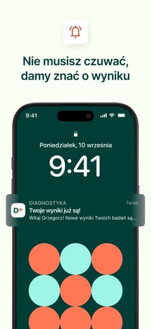 Diagnostyka iPhone screenshot 5