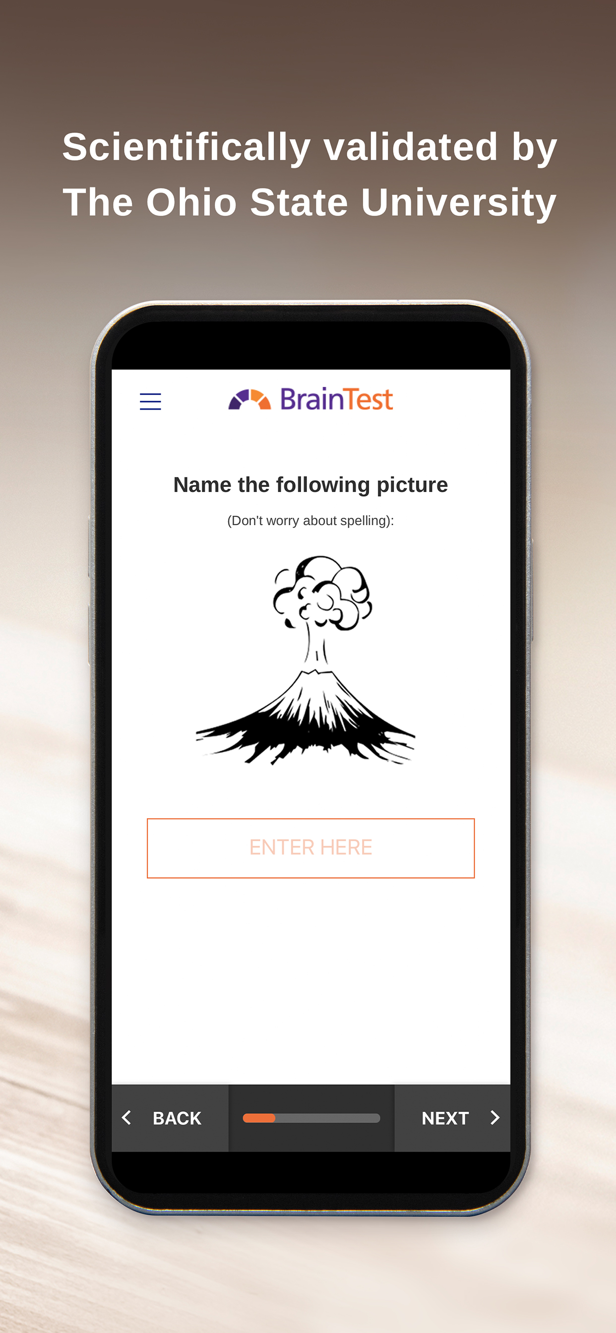 BrainTest screenshot 2