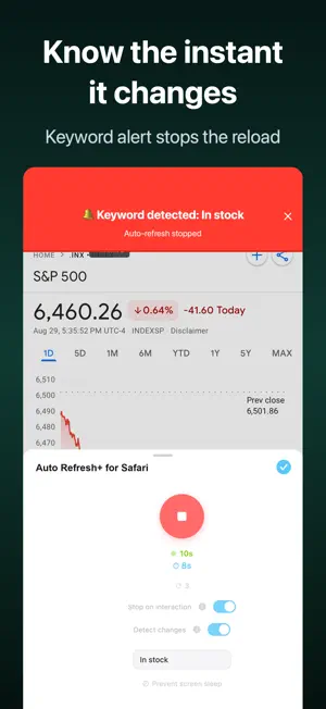 Auto Refresh+ for Safari screenshot 2