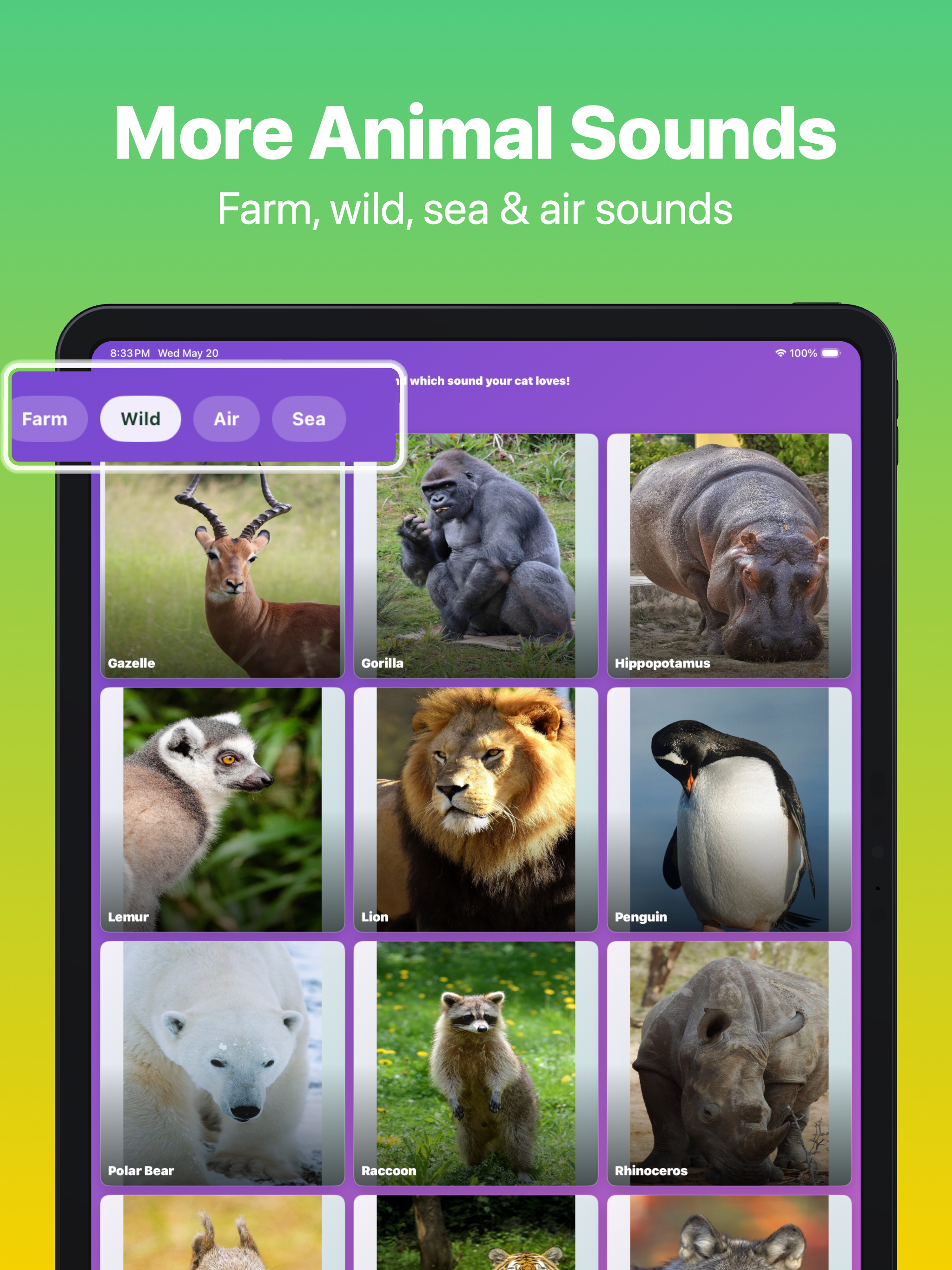 Cat Sounds: Meow Soundboard screenshot 17