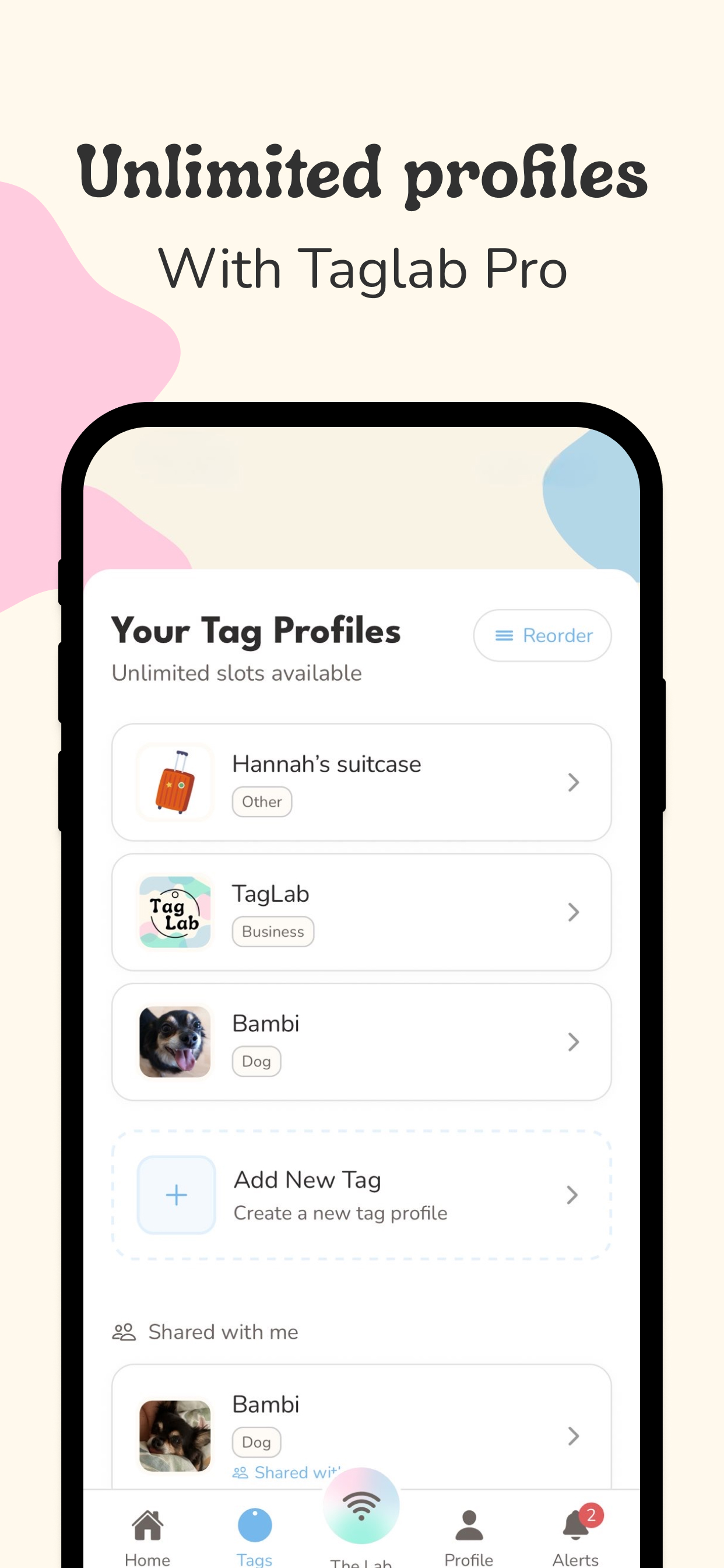 Taglab screenshot 4