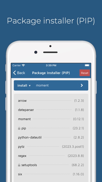 Pythonica: Code and Debug