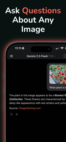 Typli Screenshot 6 of 6