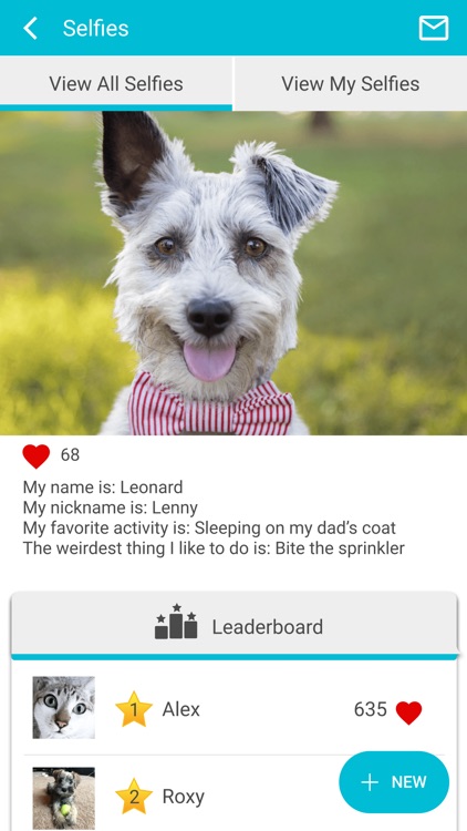 Morehead Animal Hospital screenshot-3