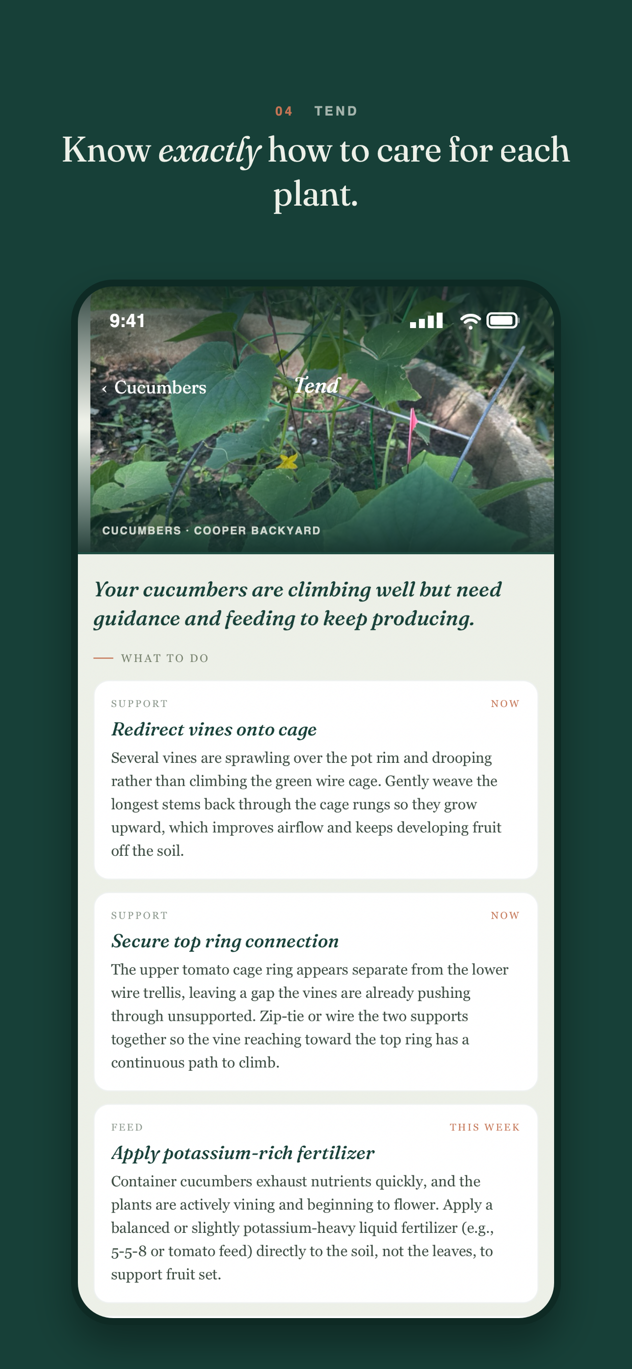 Rooted: Garden Companion screenshot 4