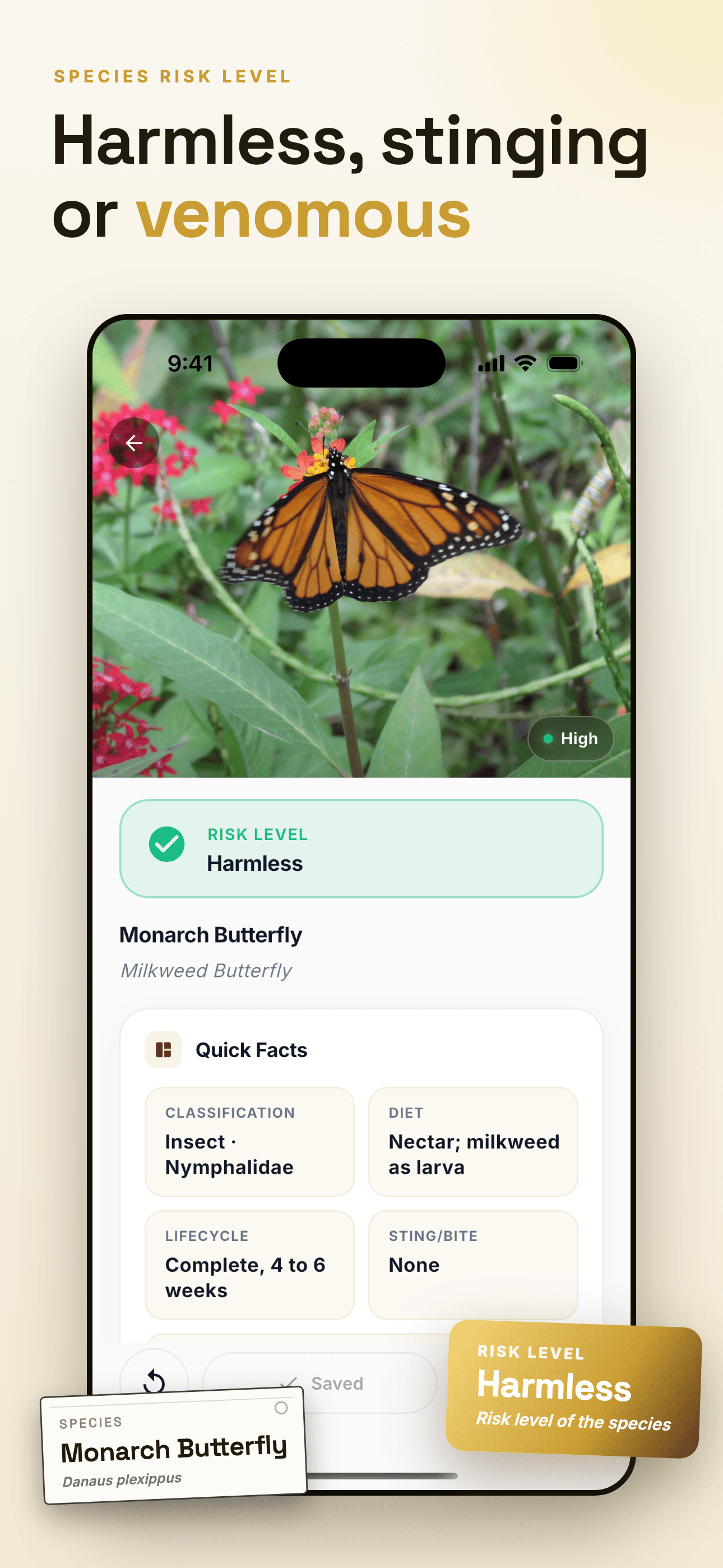 Insect Identifier & Bug ID screenshot 2