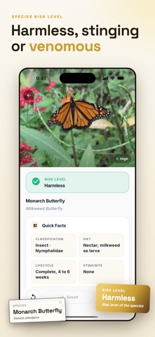 Insect Identifier & Bug Finder iPhone screenshot
