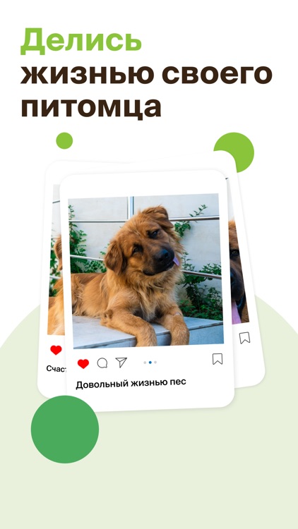 ЗооКлик: Соцсеть и объявления screenshot-3