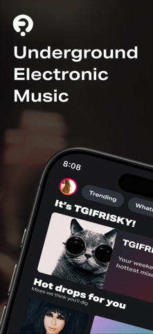 FRISKY: Electronic Music screenshot