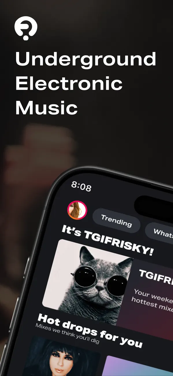 Screenshot #1 pour FRISKY: Electronic Music