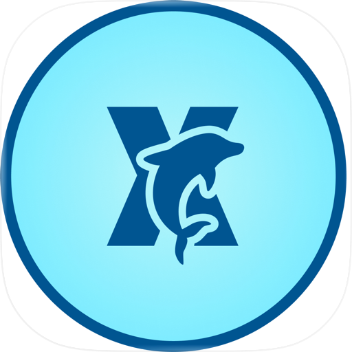 DolphinX VPN