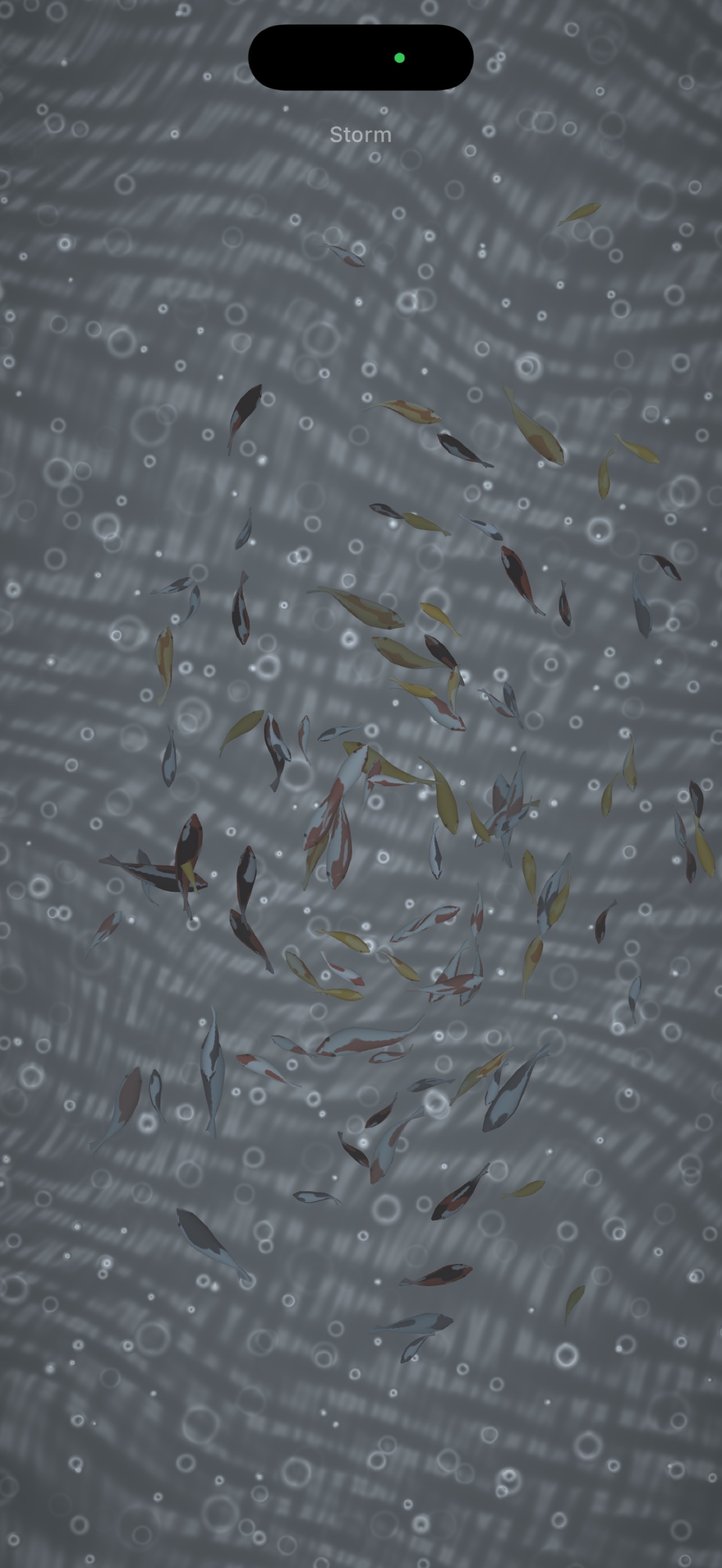 Screenshot 4 of Koi Rising: Calm Game