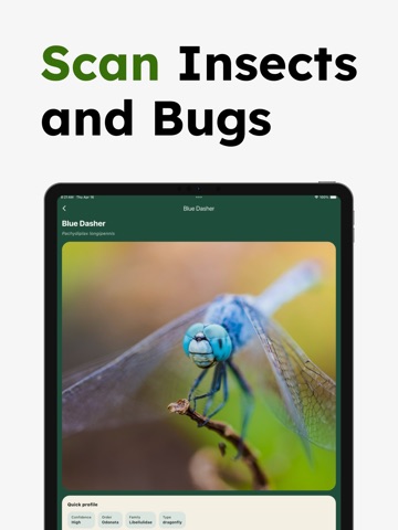 Insect Identifier - Insectr iPad screenshot