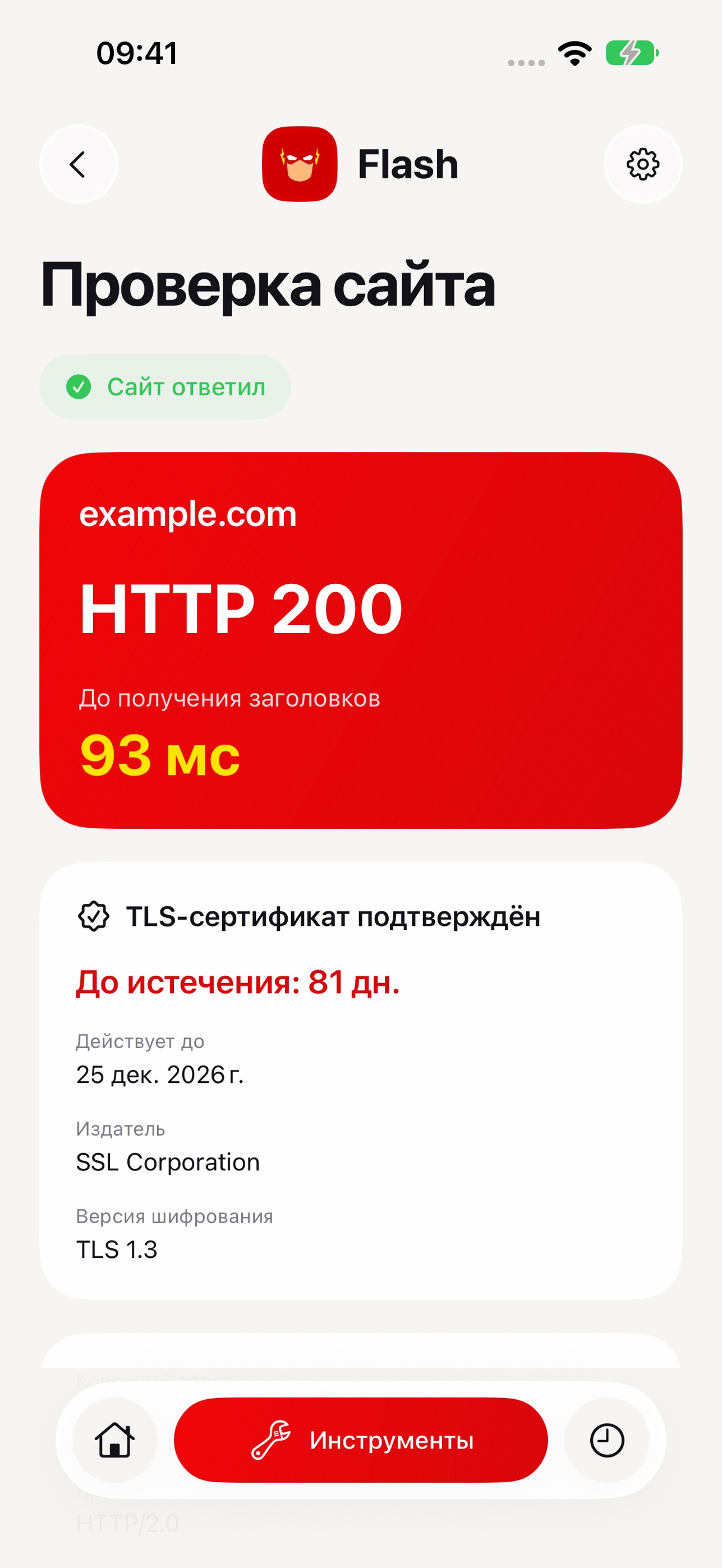Screenshot 4 of Flash: DNS и сеть