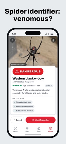 Bug Identifier: BugAlert iPhone screenshot