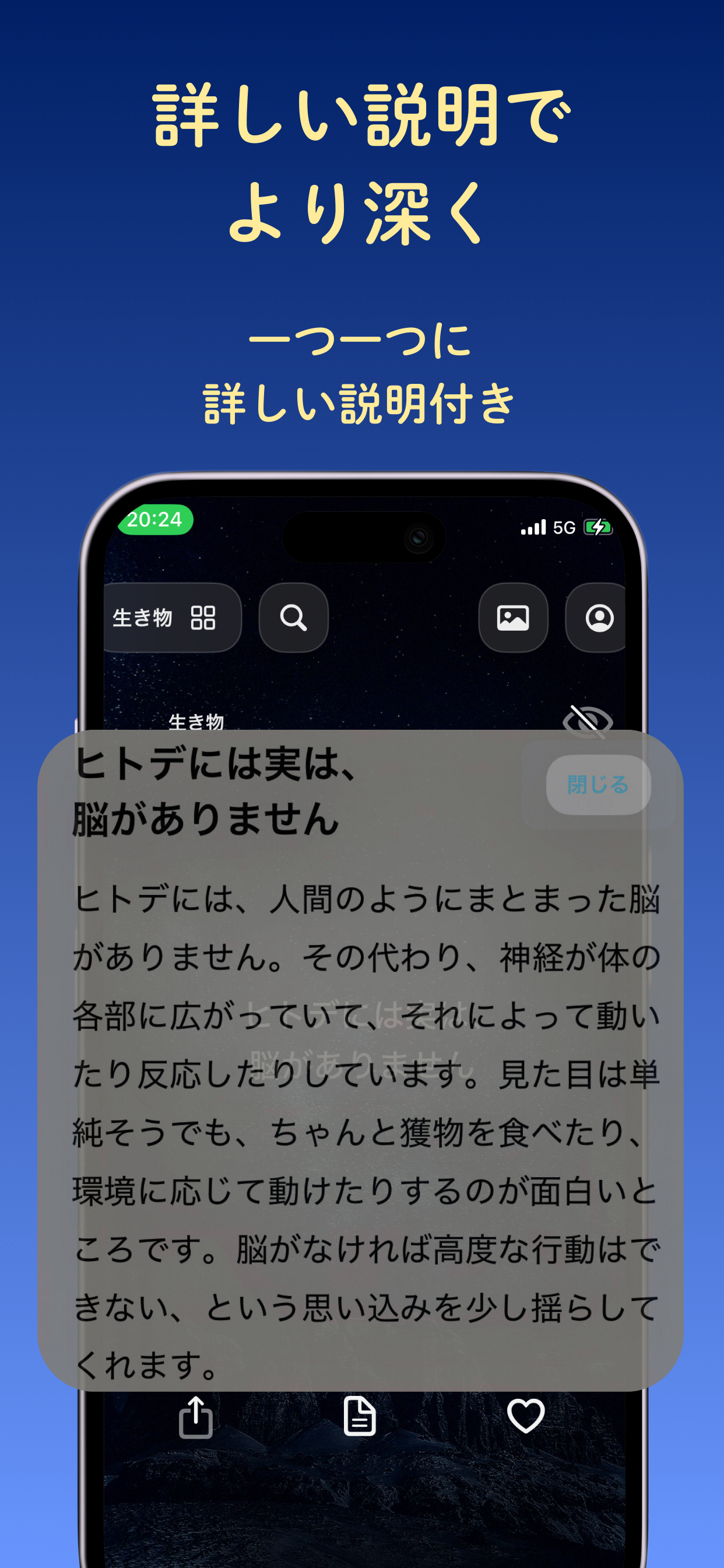 まい知恵-スクロールで豆知識を
