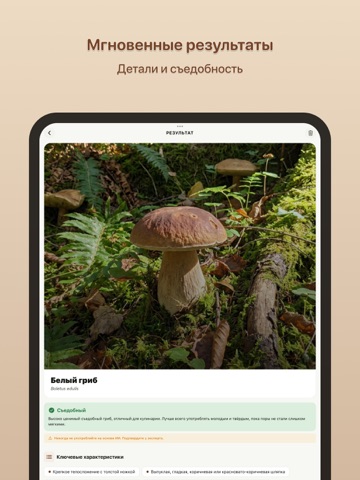 Грибы: Определитель iPad screenshot 2