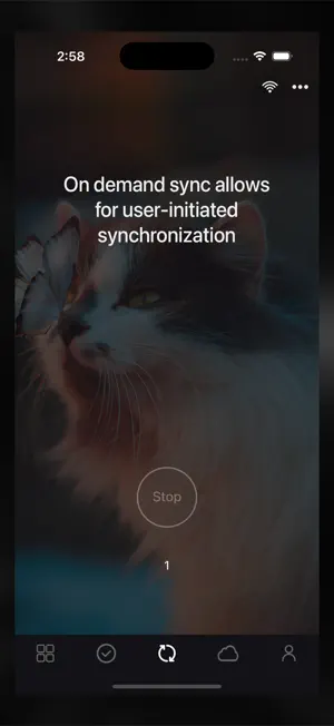 Sync with Files screenshot 4
