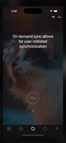 Sync with Files screenshot