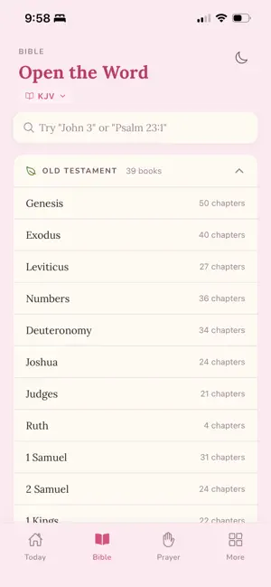 Cradled in Grace screenshot 3