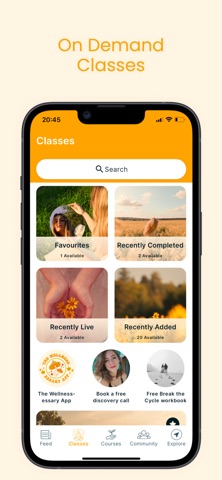 The Wellness-essary App iPhone screenshot