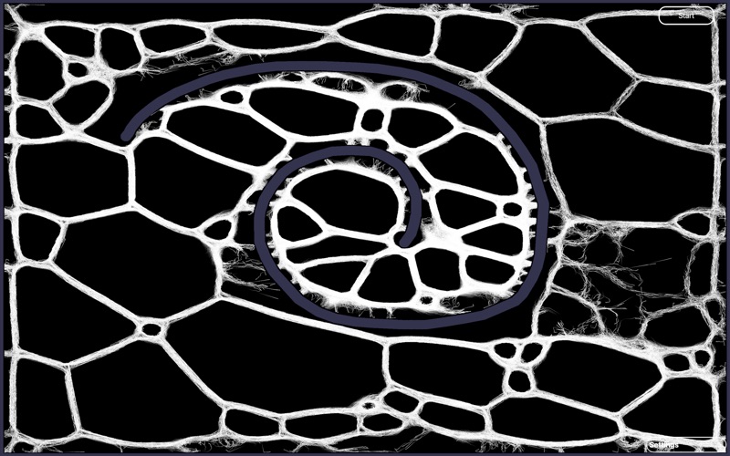 Slime Mold Sandbox screenshot