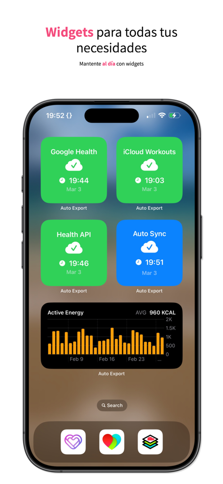 Health Auto Export - JSON+CSV screenshot 5