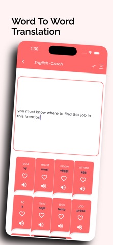 Czech Translator Offline screenshot