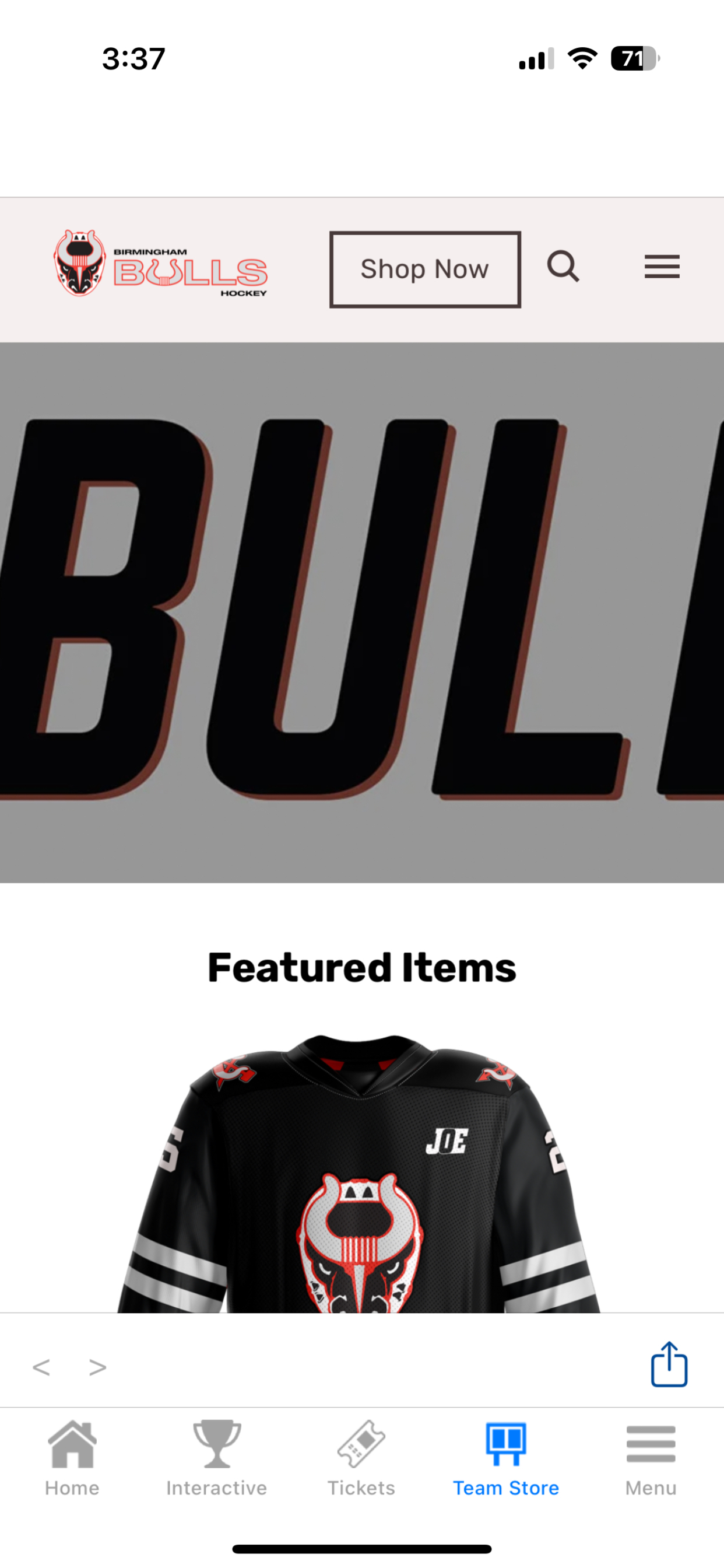 Birmingham Bulls